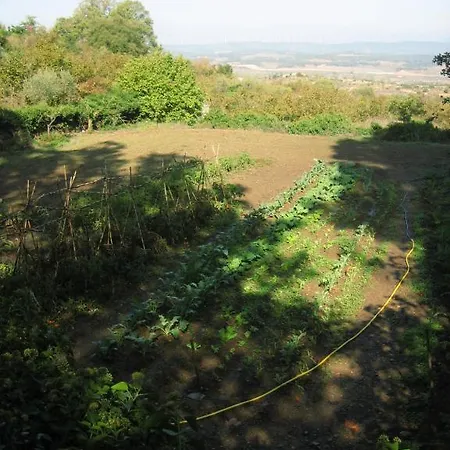 Rural Masia Font De L'oca * L'Espluga de Francoli