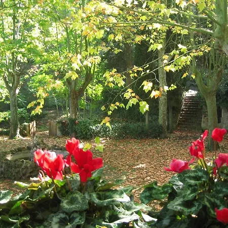 Rural Masia Font De L'oca 酒店 *